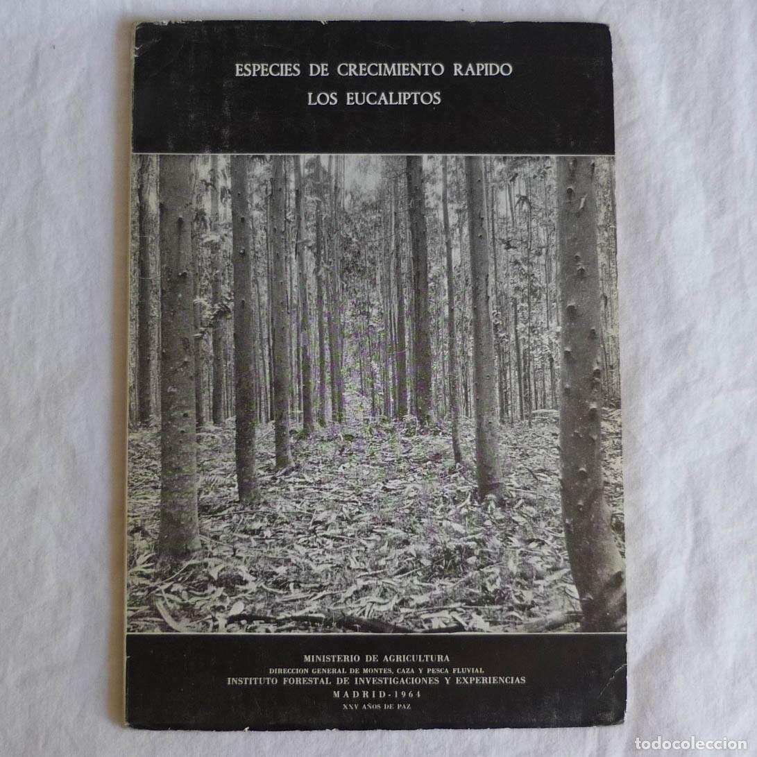 Libros de segunda mano: Especies de crecimiento r&aacute;pido eucaliptos 1964, 54 p&aacute;g. - Foto 1