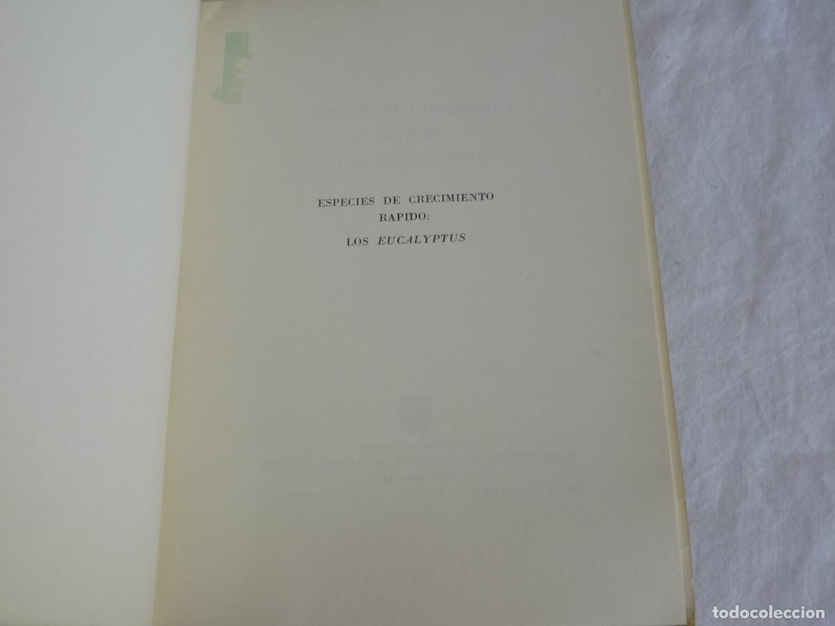 Libros de segunda mano: Especies de crecimiento r&aacute;pido eucaliptos 1964, 54 p&aacute;g. - Foto 5