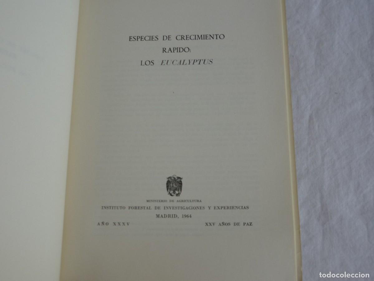 Libros de segunda mano: Especies de crecimiento r&aacute;pido eucaliptos 1964, 54 p&aacute;g. - Foto 6