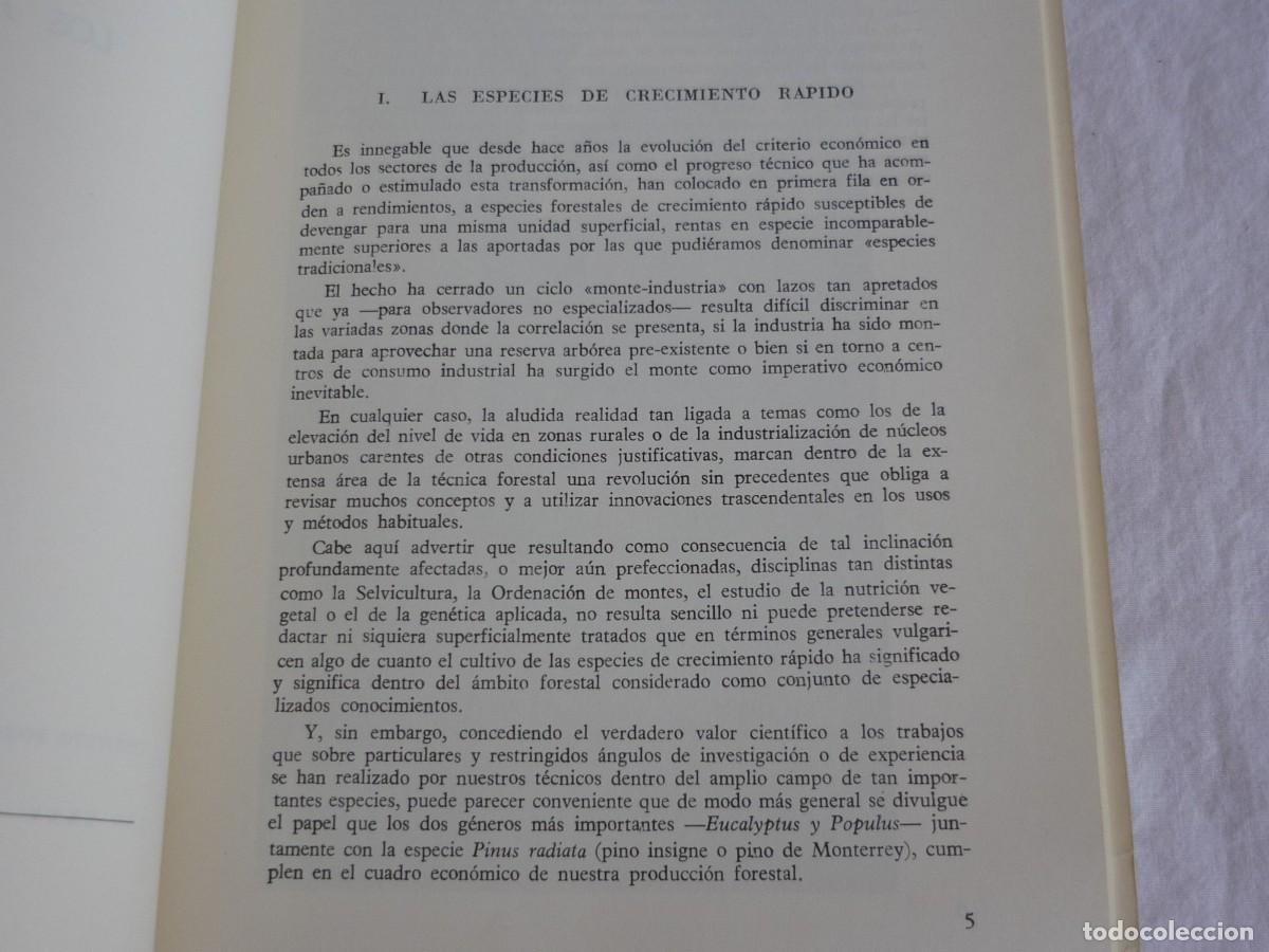 Libros de segunda mano: Especies de crecimiento r&aacute;pido eucaliptos 1964, 54 p&aacute;g. - Foto 7