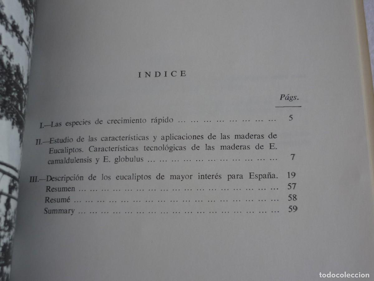 Libros de segunda mano: Especies de crecimiento r&aacute;pido eucaliptos 1964, 54 p&aacute;g. - Foto 8