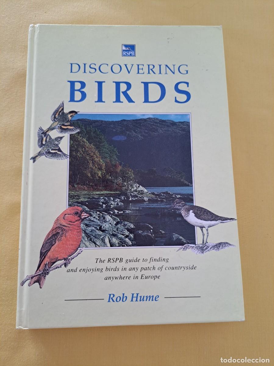 Libros de segunda mano: ROB HUME - DISCOVERING BIRDS - RSPB 1992 - IDIOMA INGLES - Foto 2