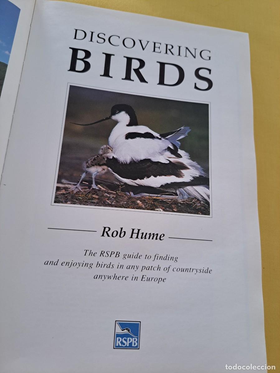 Libros de segunda mano: ROB HUME - DISCOVERING BIRDS - RSPB 1992 - IDIOMA INGLES - Foto 3