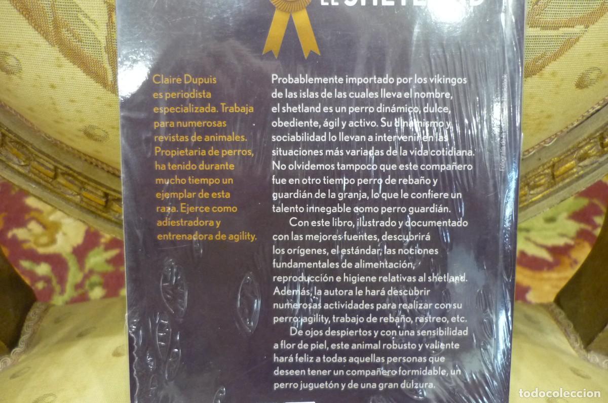 Libros de segunda mano: EL SHETLAND, DE CLAIRE DUPUIS. PRECINTADO. - Foto 3