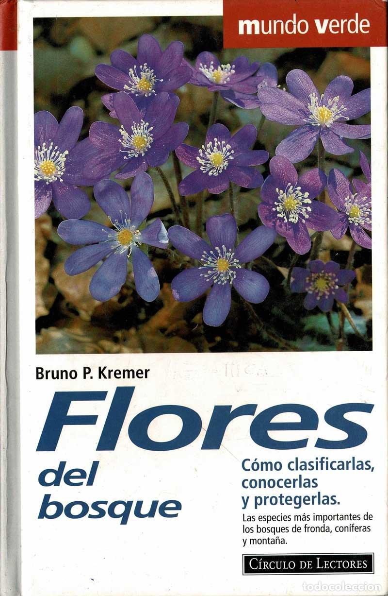 Libros de segunda mano: Flores del bosque - Bruno P. Kremer - Foto 1