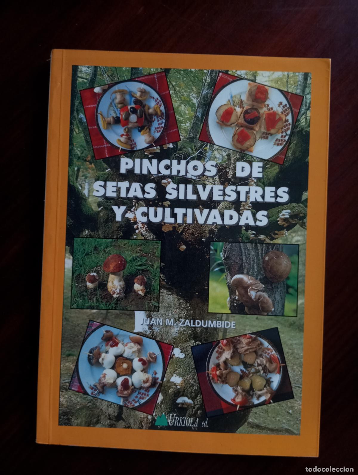 Libros de segunda mano: PINCHOS DE SETAS SILVESTRES Y CULTIVADAS - Foto 1