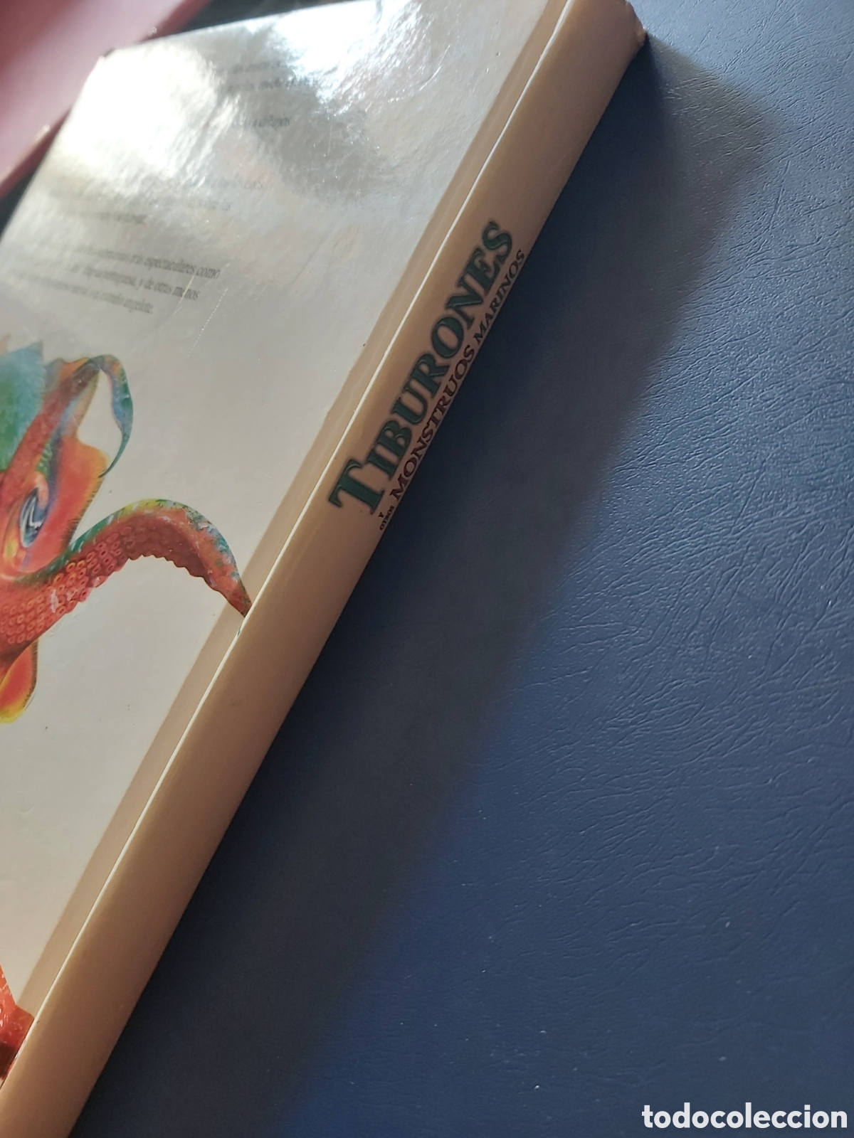 Libros de segunda mano: TIBURONES Y OTROS MONSTRUOS MARINOS - LIBSA - 2012 - Foto 2