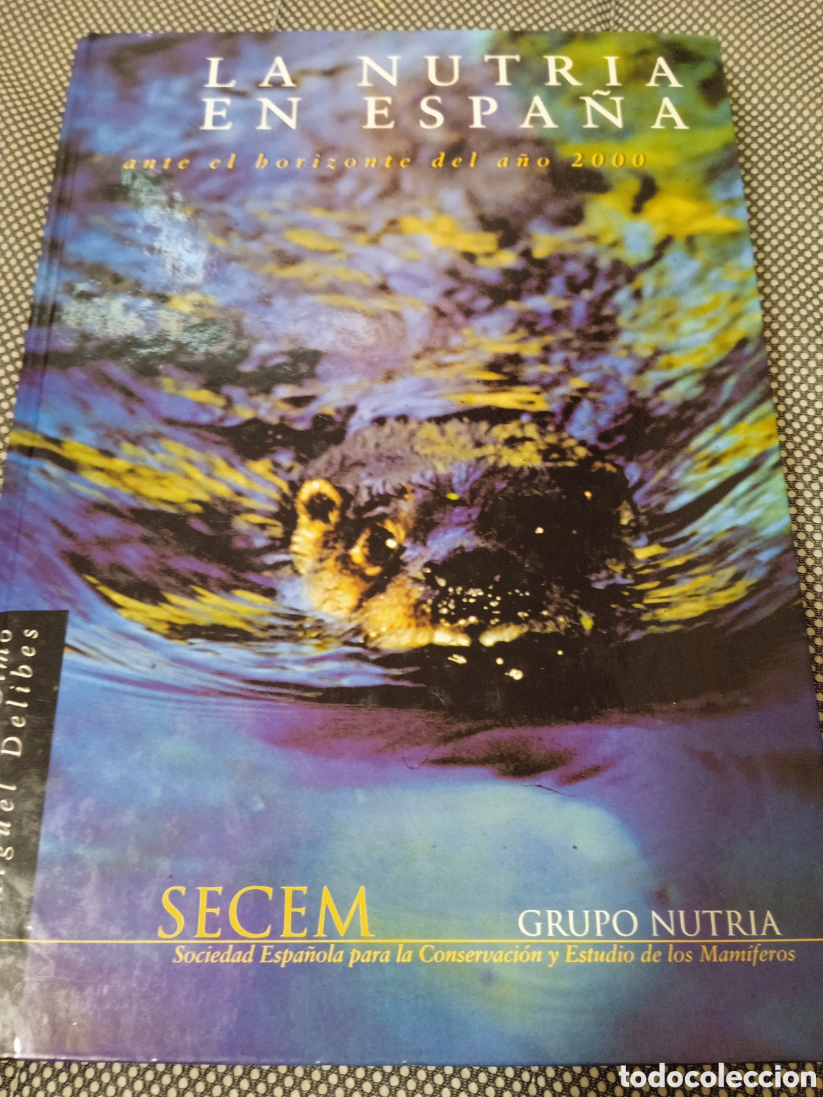 Libros de segunda mano: La nutria en Espa&ntilde;a. Secem - Foto 1