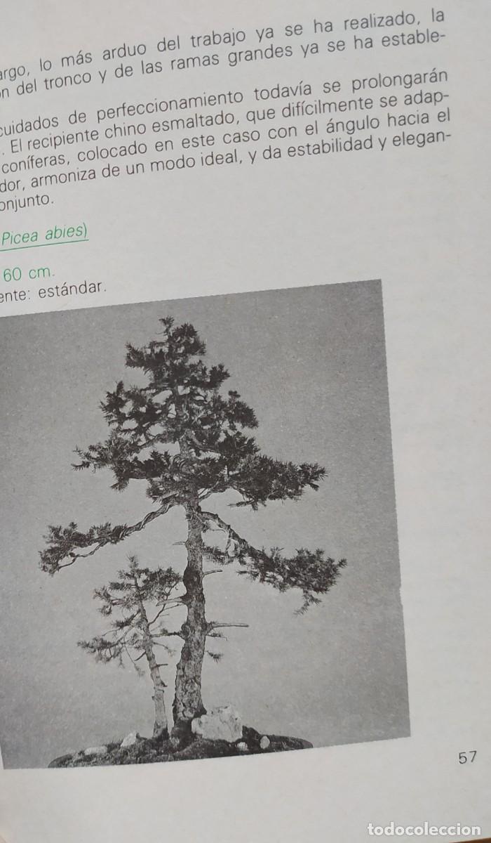 Libros de segunda mano: GU&Iacute;A PR&Aacute;CTICA DEL BONSAI. - Foto 4