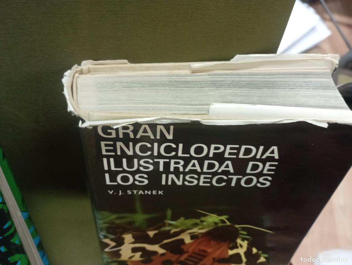 Libros de segunda mano: dos libros - la vida de los animales --gran enciclopedia ilustrada de los insectos - Foto 2