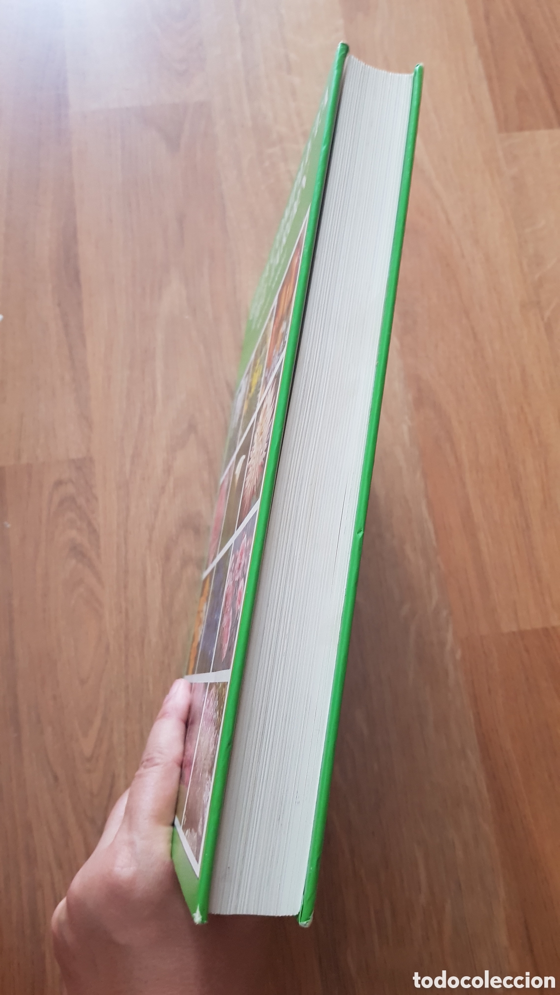 Libros de segunda mano: Guia completa del jardin. Michael - Foto 4