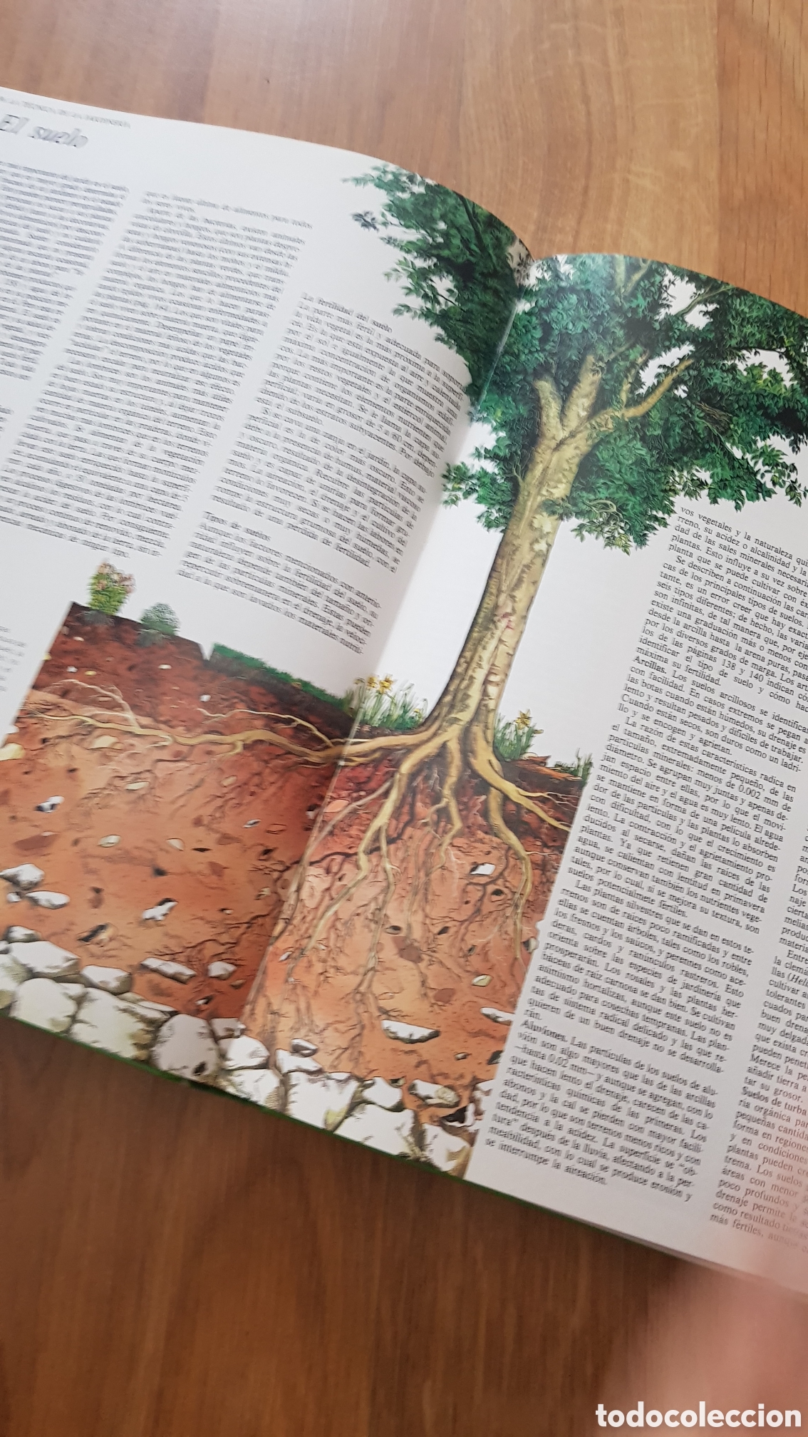 Libros de segunda mano: Guia completa del jardin. Michael - Foto 5