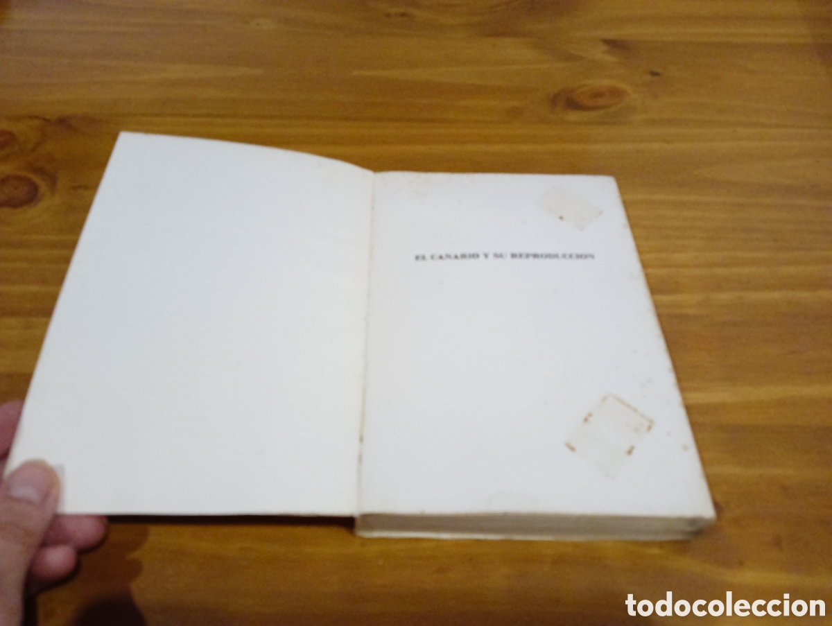 Libros de segunda mano: El canario y su reproducci&oacute;n. - Foto 2