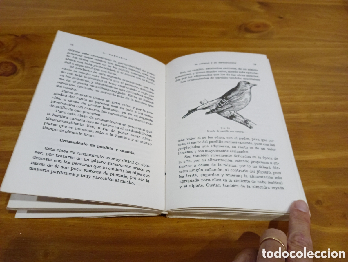 Libros de segunda mano: El canario y su reproducci&oacute;n. - Foto 5