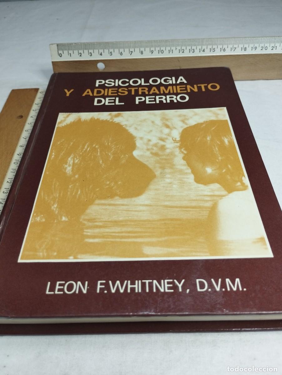 Libros de segunda mano: Psicolog&iacute;a y adiestramiento del perro. Leon F. Whitney, DVM. - Foto 1