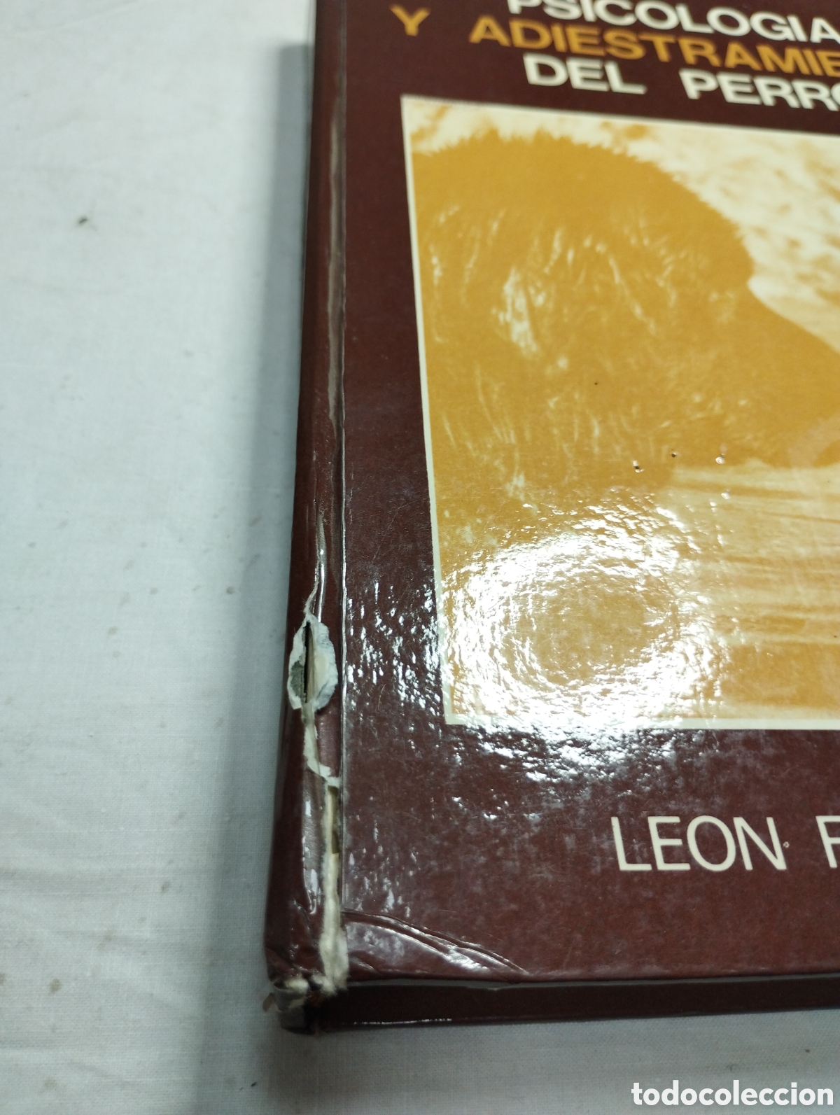 Libros de segunda mano: Psicolog&iacute;a y adiestramiento del perro. Leon F. Whitney, DVM. - Foto 4