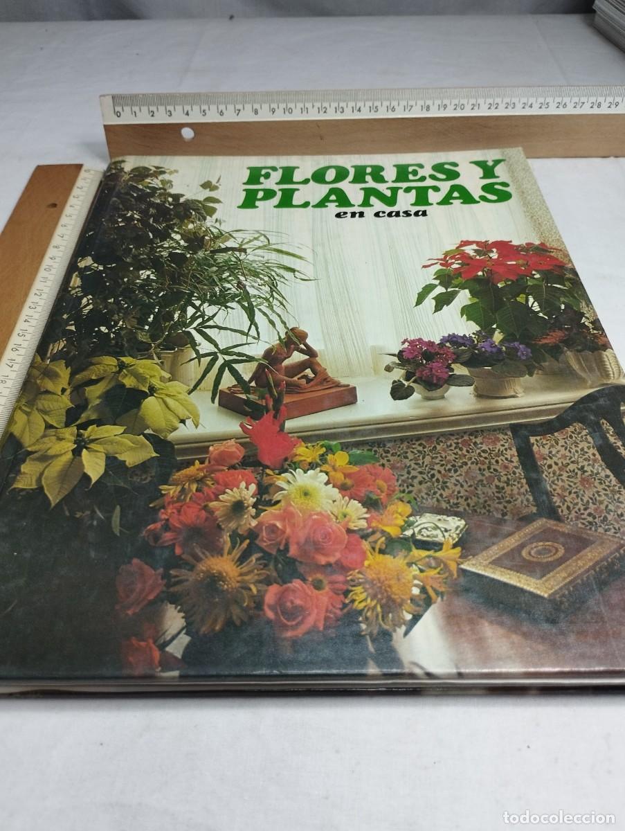 Libros de segunda mano: Flores y plantas en casa. Editorial HMB - Foto 1