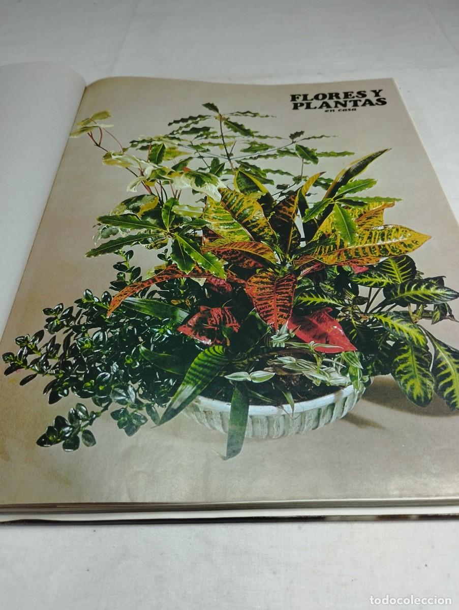 Libros de segunda mano: Flores y plantas en casa. Editorial HMB - Foto 2