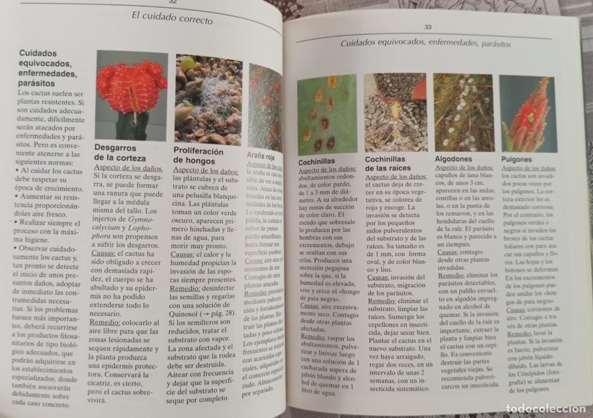 Libros de segunda mano: CACTUS - FRANZ BECHERER - Foto 2