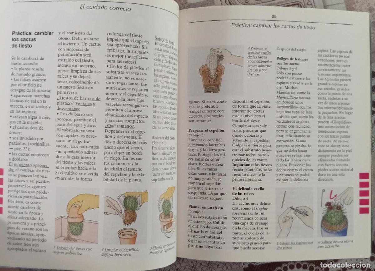 Libros de segunda mano: CACTUS - FRANZ BECHERER - Foto 3
