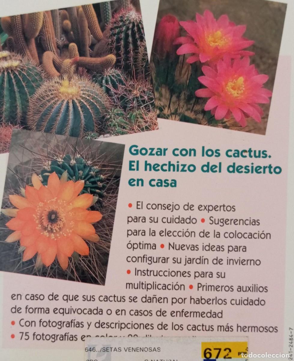 Libros de segunda mano: CACTUS - FRANZ BECHERER - Foto 4
