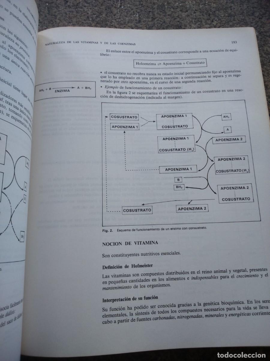 Libros de segunda mano de ciencias: BIOQUIMICA ESTRUCTURAL -- LOUISOT -- 1977 -- - Foto 4