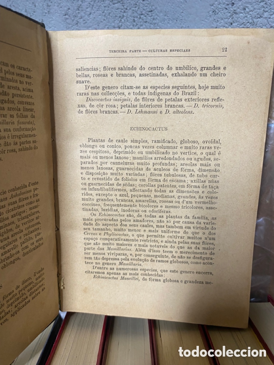 Libros de segunda mano: Libro antiguo 1893 . O jardim - Foto 4