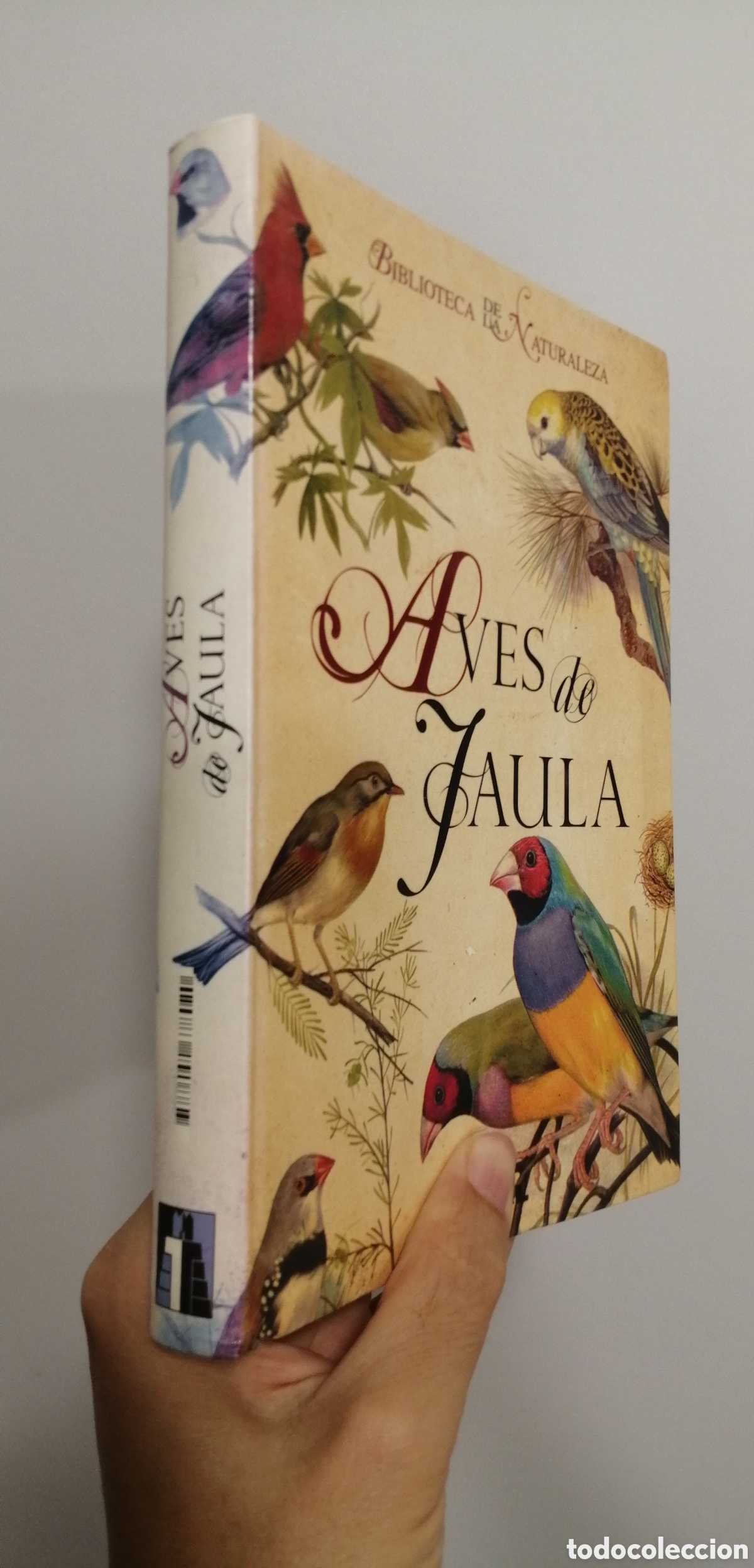 Libros de segunda mano: Aves de jaula Tikal 2009 - Foto 2