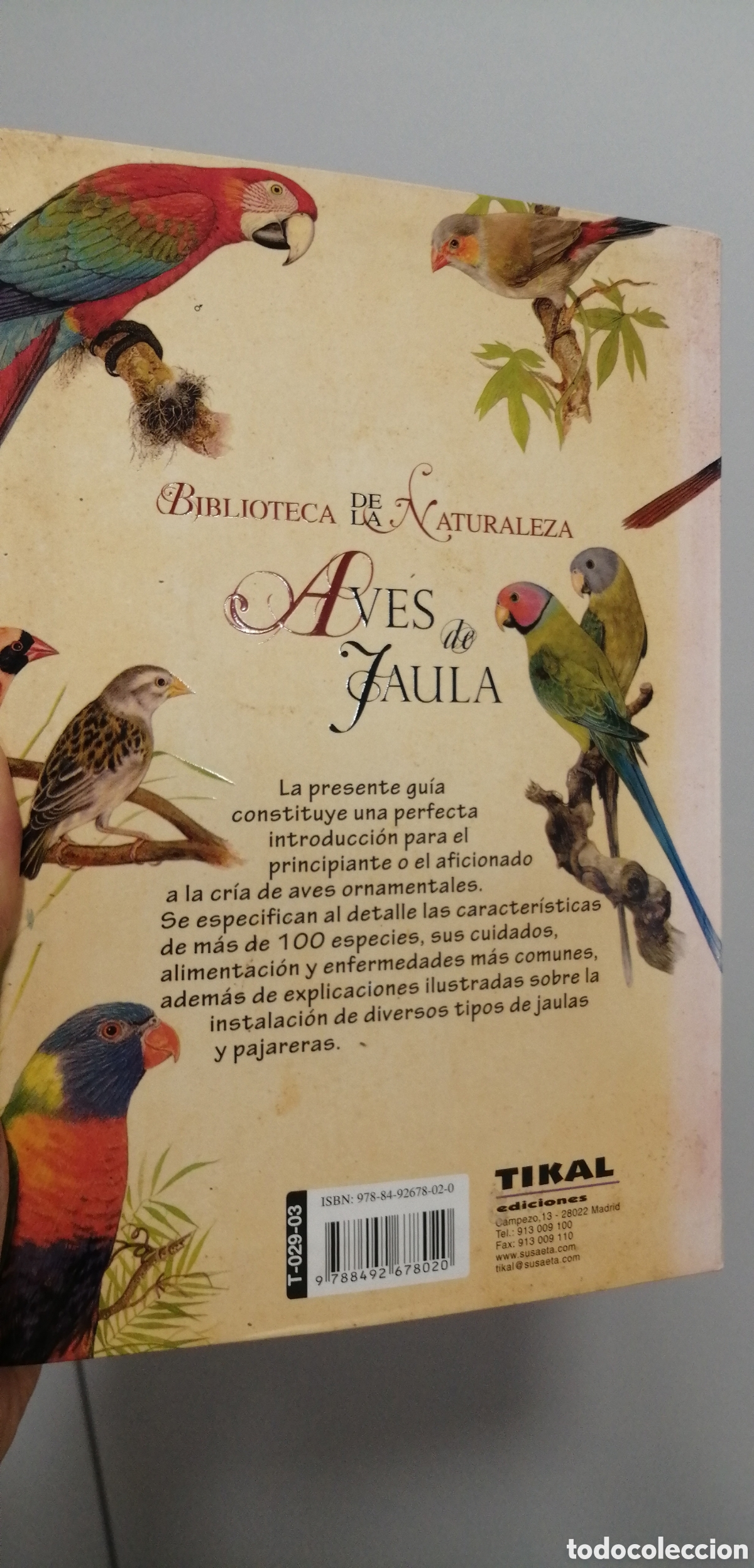 Libros de segunda mano: Aves de jaula Tikal 2009 - Foto 4