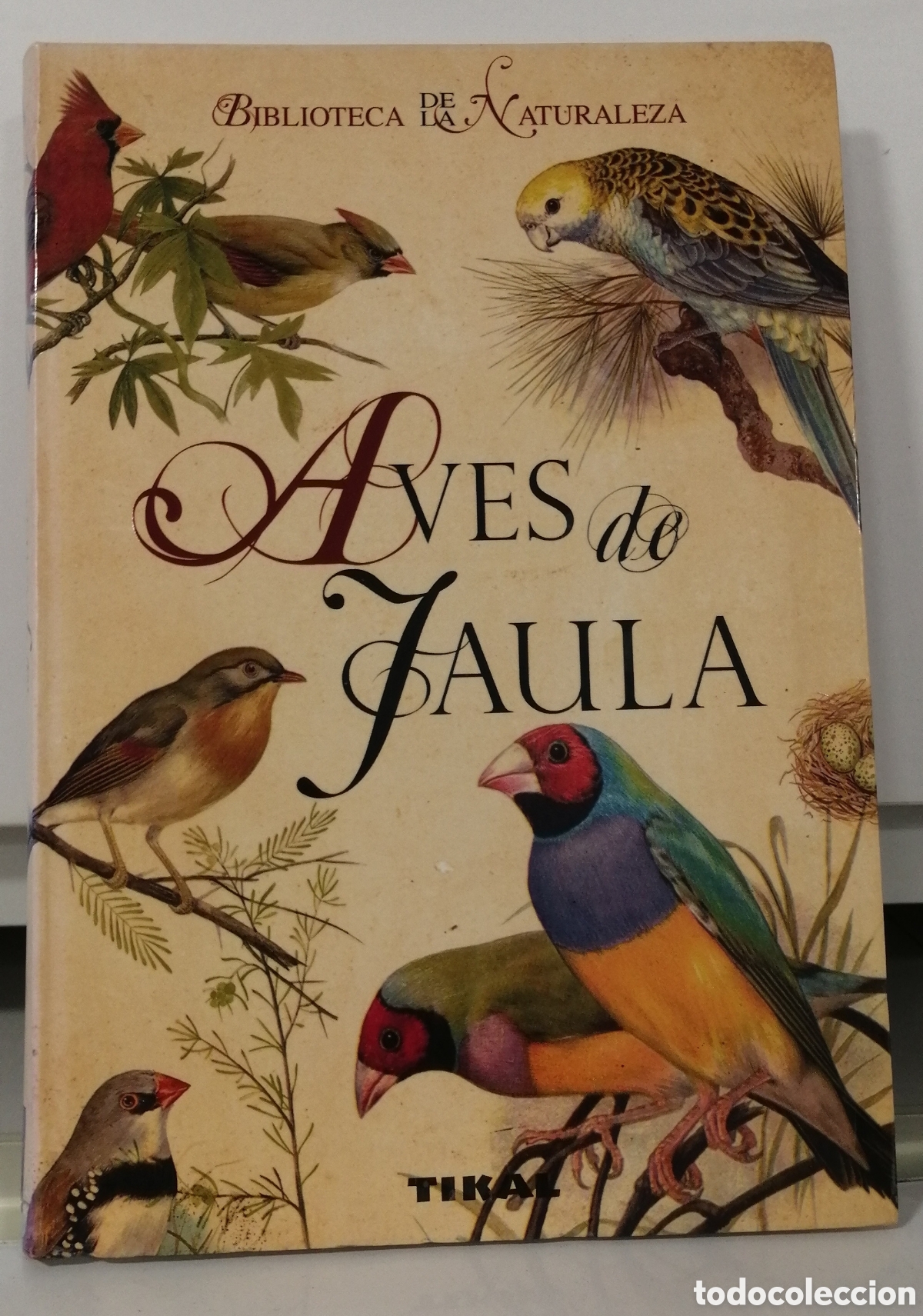 Libros de segunda mano: Aves de jaula Tikal 2009 - Foto 1