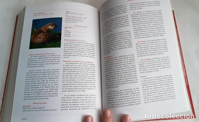 Libros de segunda mano: Libro Rojo de la Fauna de Asturias - Animales - Foto 3