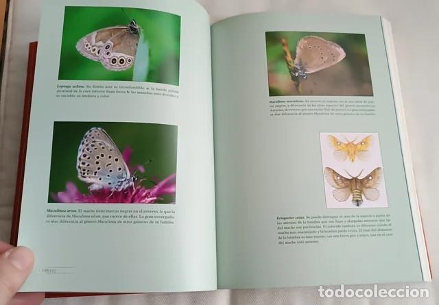 Libros de segunda mano: Libro Rojo de la Fauna de Asturias - Animales - Foto 5