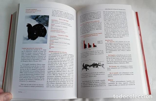 Libros de segunda mano: Libro Rojo de la Fauna de Asturias - Animales - Foto 6
