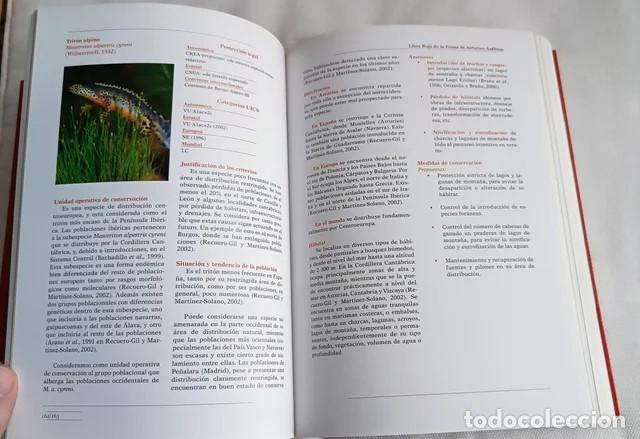 Libros de segunda mano: Libro Rojo de la Fauna de Asturias - Animales - Foto 7