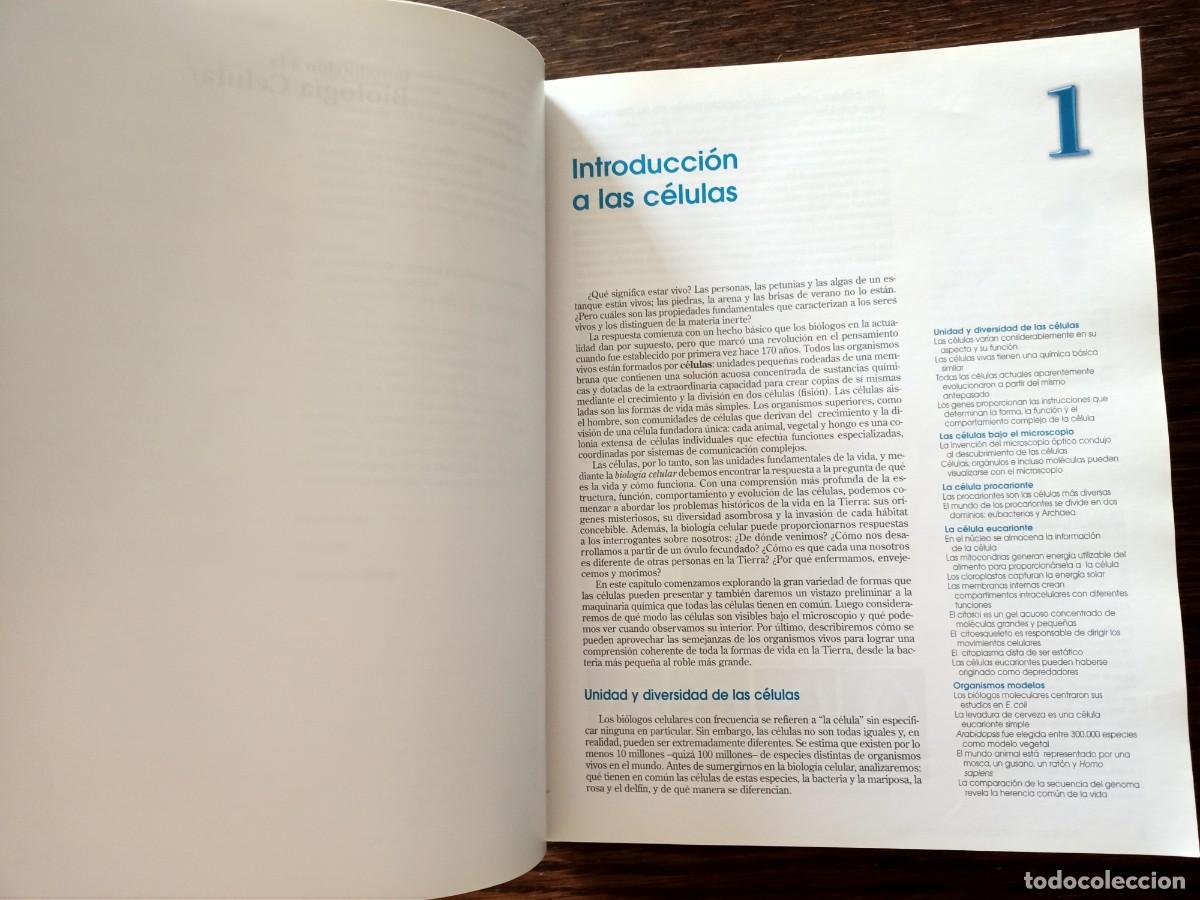 Libros de segunda mano: INTRODUCCI&Oacute;N A LA BIOLOG&Iacute;A CELULAR. LIBRO COMPLETO SIN TAPAS. EDITORIAL PANAMERICANA. 2&ordf; EDIC 2006. - Foto 16