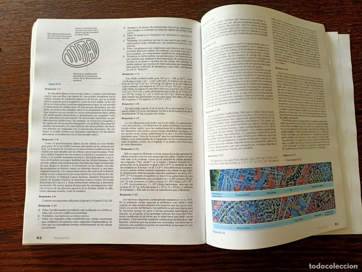 Libros de segunda mano: INTRODUCCI&Oacute;N A LA BIOLOG&Iacute;A CELULAR. LIBRO COMPLETO SIN TAPAS. EDITORIAL PANAMERICANA. 2&ordf; EDIC 2006. - Foto 24