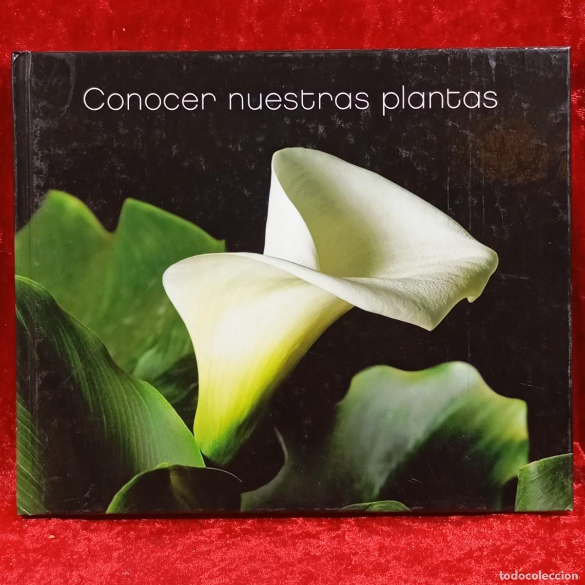 Libros de segunda mano: CONOCER NUESTRAS PLANTAS - EDICIONS 62 - 2007 / 659 - Foto 1