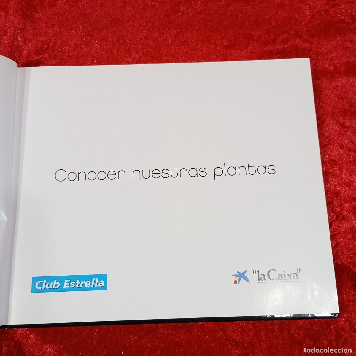 Libros de segunda mano: CONOCER NUESTRAS PLANTAS - EDICIONS 62 - 2007 / 659 - Foto 4