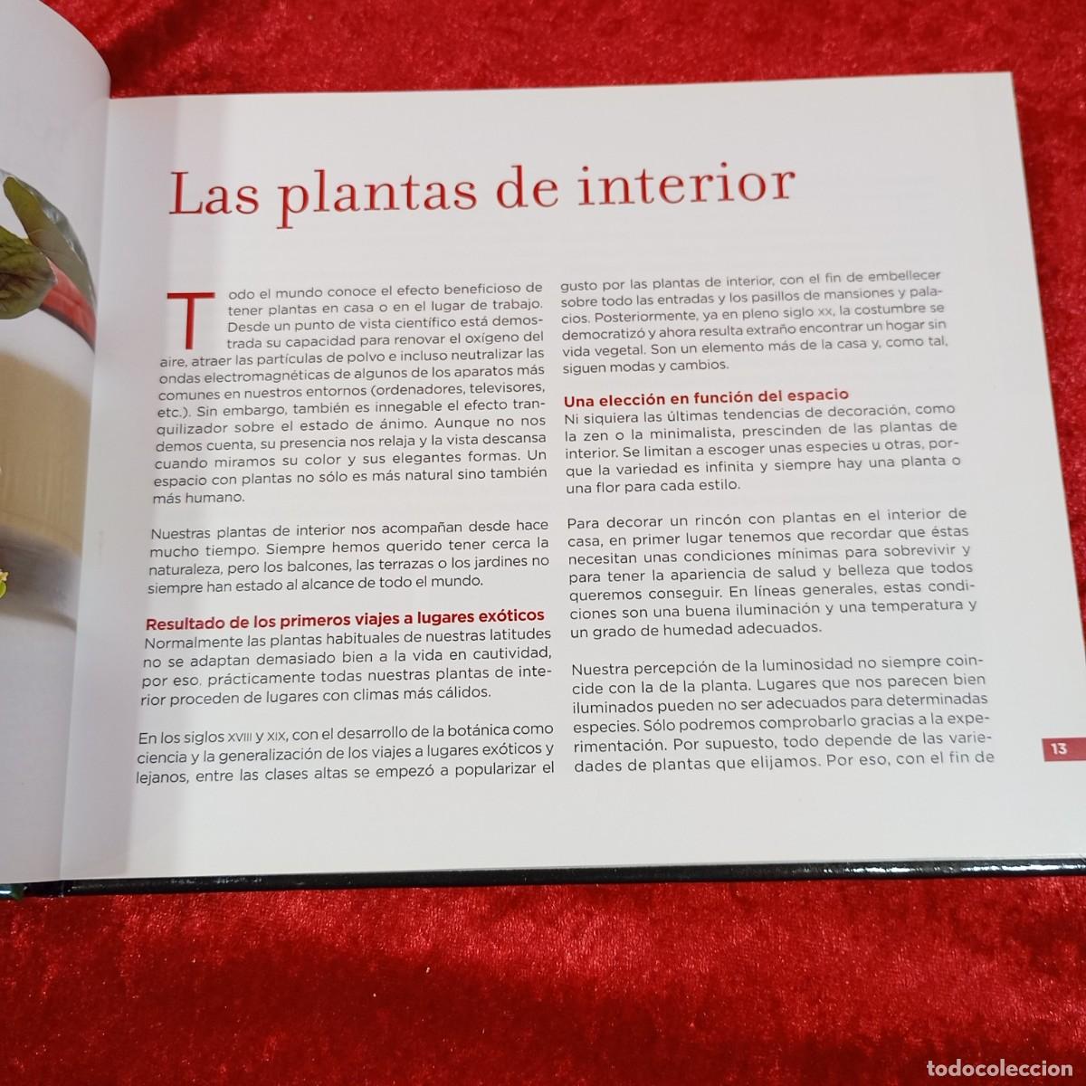 Libros de segunda mano: CONOCER NUESTRAS PLANTAS - EDICIONS 62 - 2007 / 659 - Foto 6