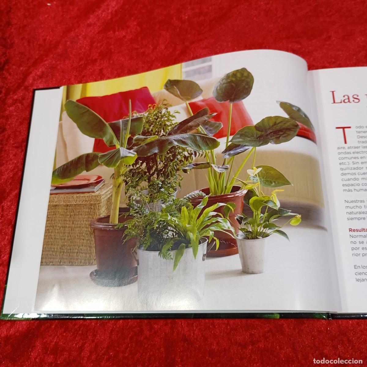Libros de segunda mano: CONOCER NUESTRAS PLANTAS - EDICIONS 62 - 2007 / 659 - Foto 7