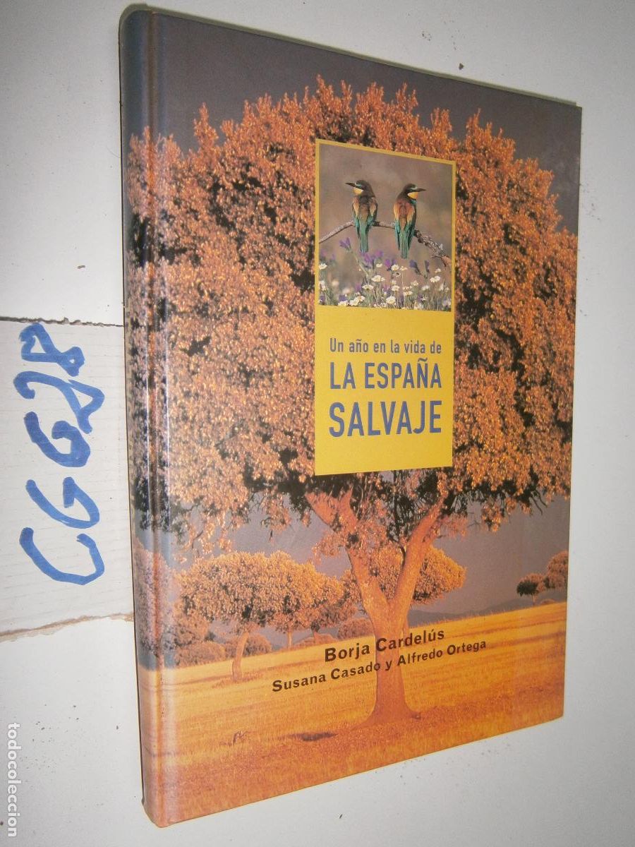 Libros de segunda mano: UN A&Ntilde;O EN LA VIDA DE LA ESPA&Ntilde;A SALVAJE - Foto 1