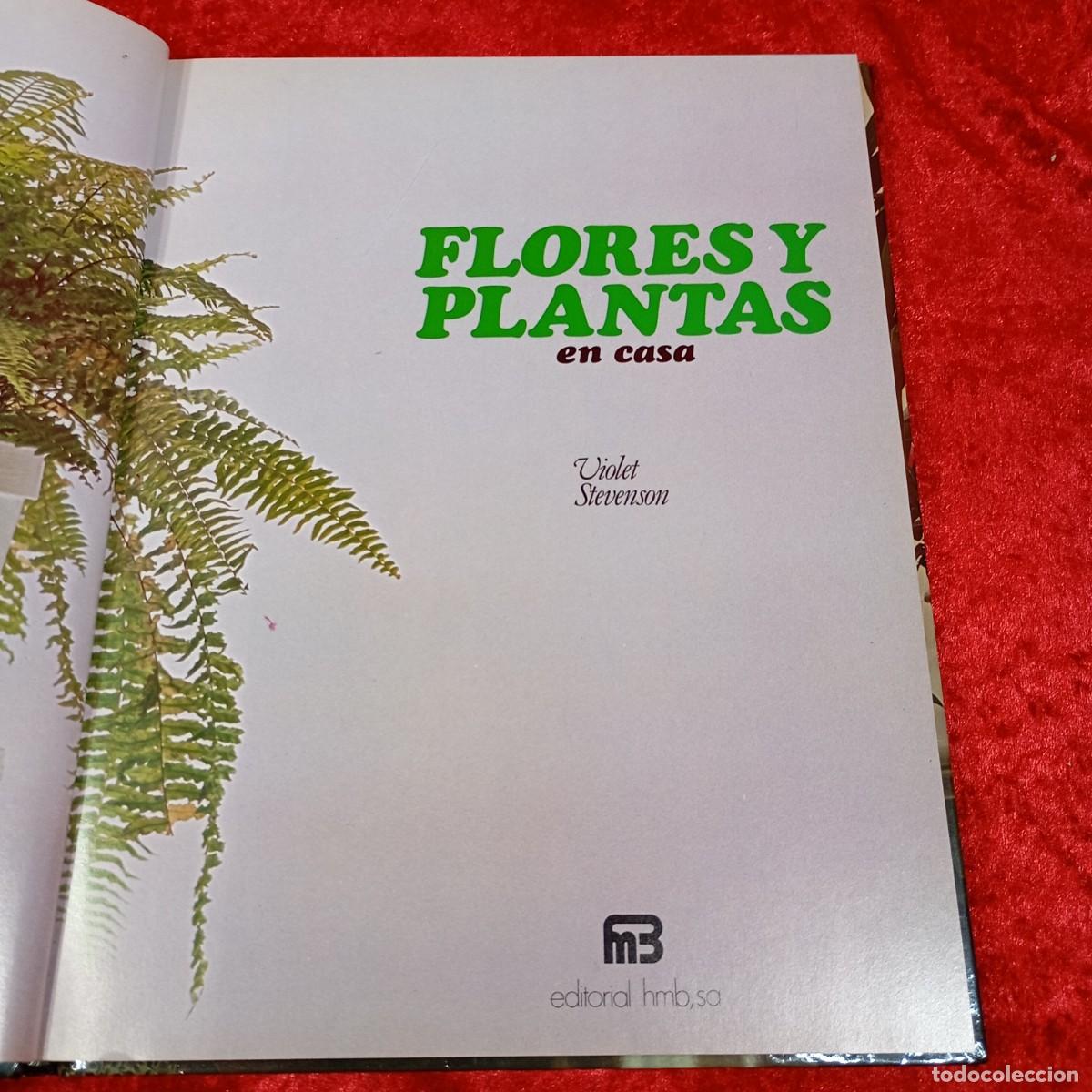 Libros de segunda mano: FLORES Y PLANTAS EN CASA - EDITORIAL HMB - 1978 / 975 - Foto 4