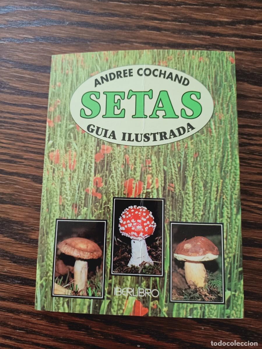 Libros de segunda mano: SETAS. GU&Iacute;A ILUSTRADA. ANDREE COCHAND. IBERLIBRO. 1997. - Foto 1