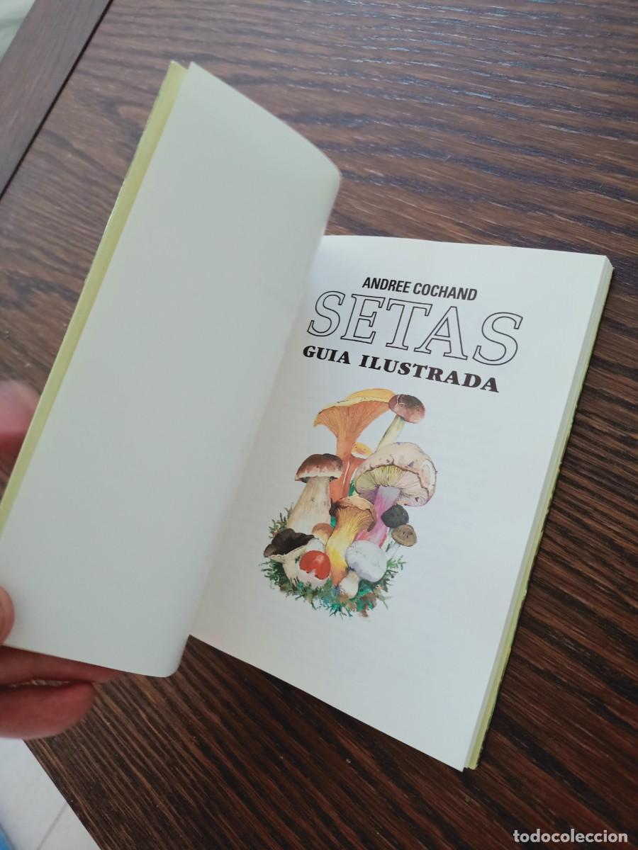 Libros de segunda mano: SETAS. GU&Iacute;A ILUSTRADA. ANDREE COCHAND. IBERLIBRO. 1997. - Foto 3
