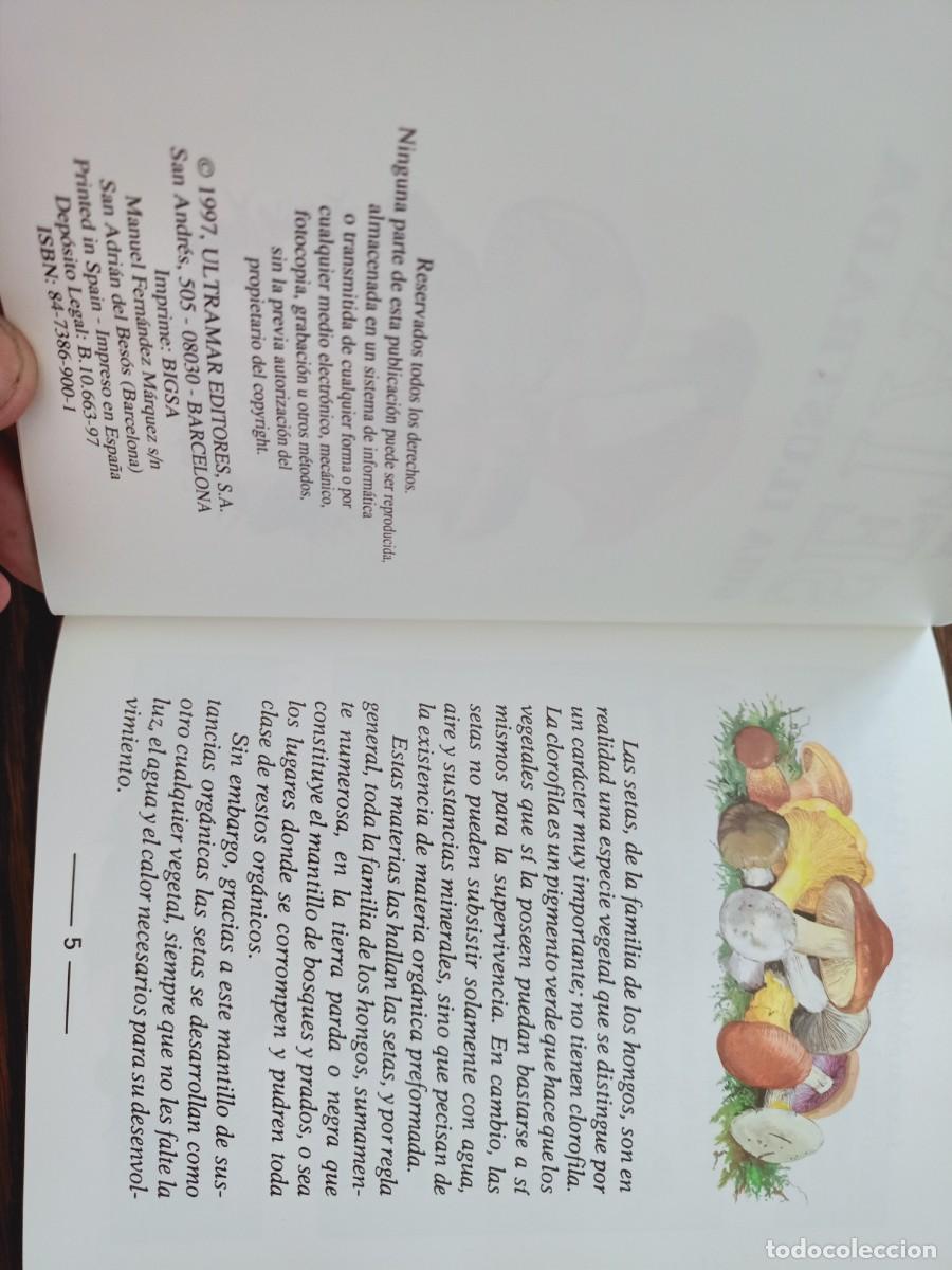 Libros de segunda mano: SETAS. GU&Iacute;A ILUSTRADA. ANDREE COCHAND. IBERLIBRO. 1997. - Foto 4