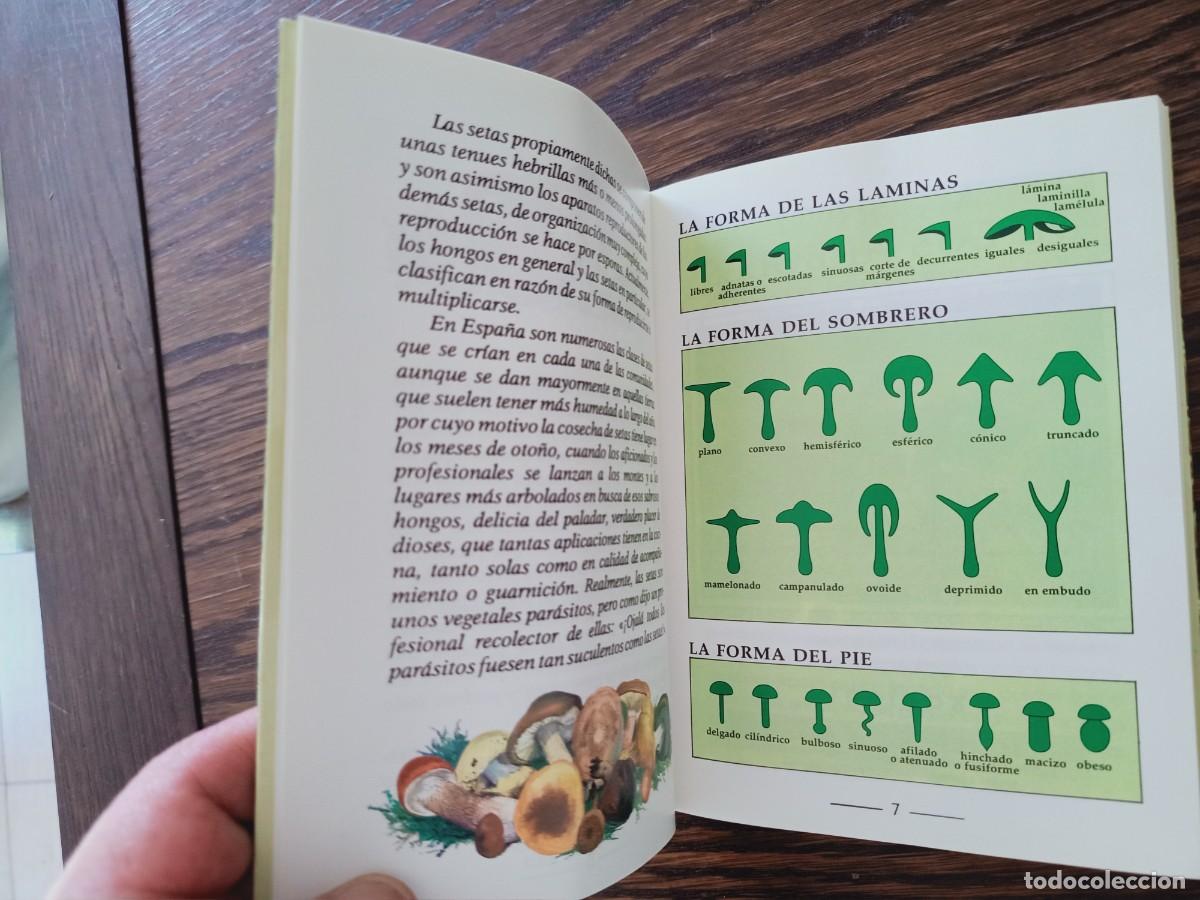 Libros de segunda mano: SETAS. GU&Iacute;A ILUSTRADA. ANDREE COCHAND. IBERLIBRO. 1997. - Foto 5