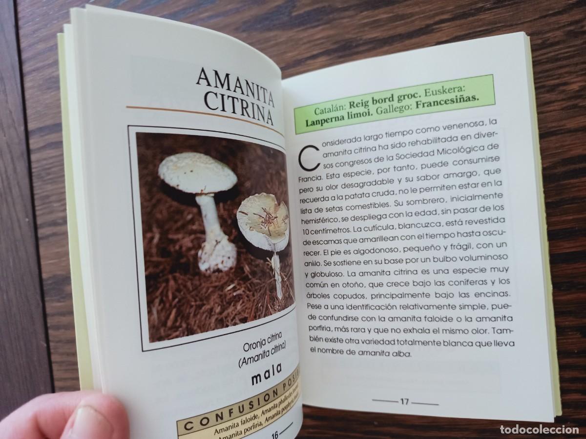 Libros de segunda mano: SETAS. GU&Iacute;A ILUSTRADA. ANDREE COCHAND. IBERLIBRO. 1997. - Foto 6