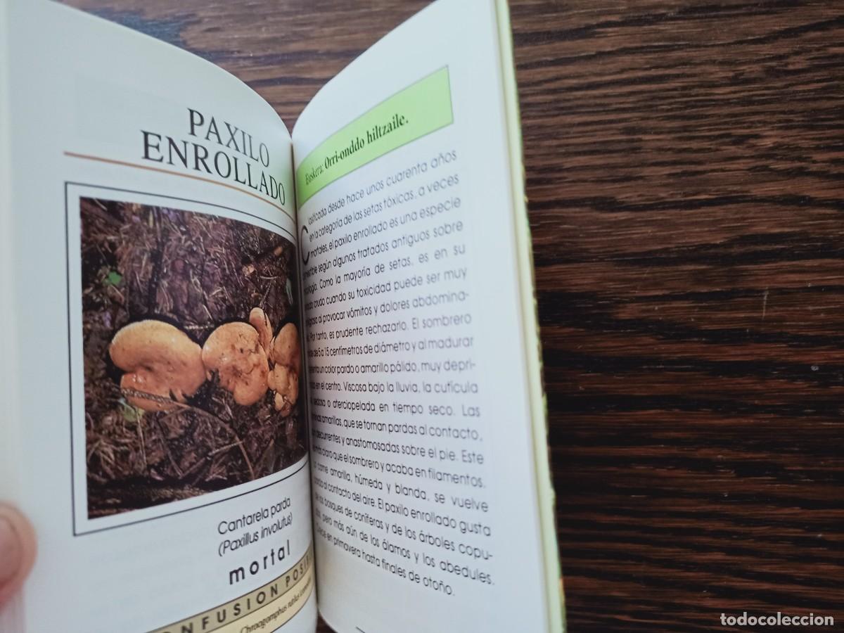 Libros de segunda mano: SETAS. GU&Iacute;A ILUSTRADA. ANDREE COCHAND. IBERLIBRO. 1997. - Foto 8