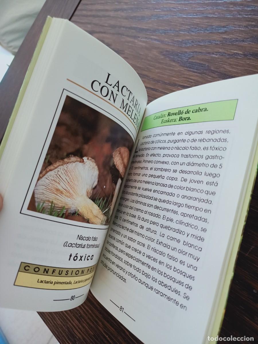 Libros de segunda mano: SETAS. GU&Iacute;A ILUSTRADA. ANDREE COCHAND. IBERLIBRO. 1997. - Foto 10