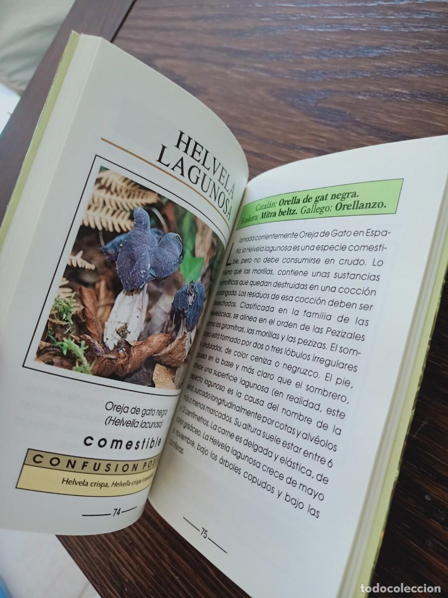 Libros de segunda mano: SETAS. GU&Iacute;A ILUSTRADA. ANDREE COCHAND. IBERLIBRO. 1997. - Foto 11